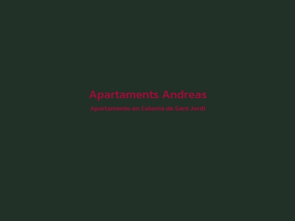 Apartamento - Apartaments Andreas