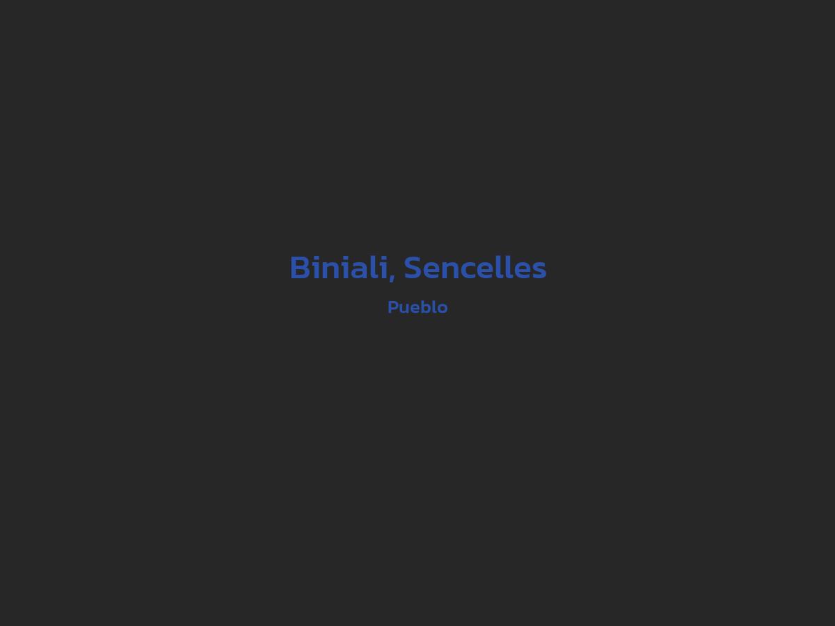 Vista principal de Biniali, Sencelles