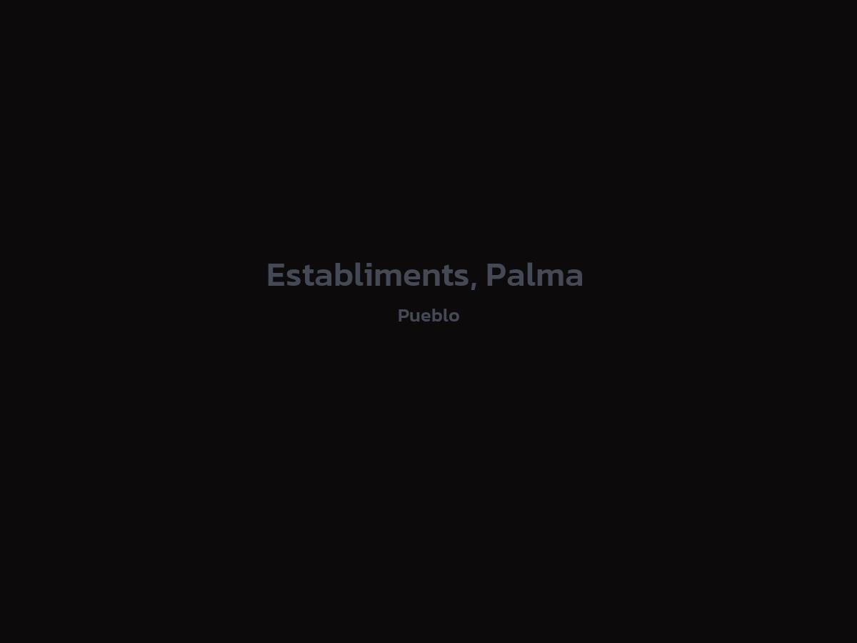 Vista principal de Establiments, Palma 
