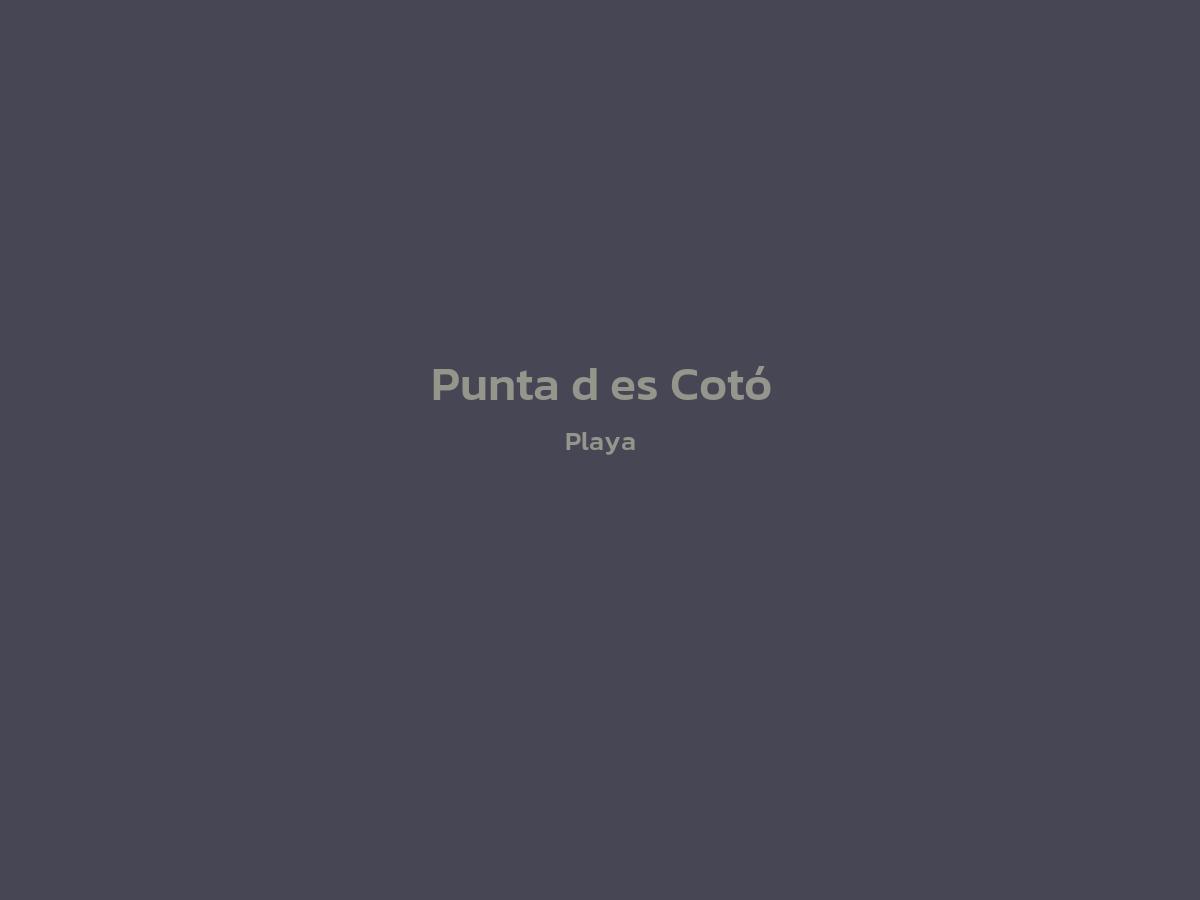 Vista principal de Punta d´es Cotó