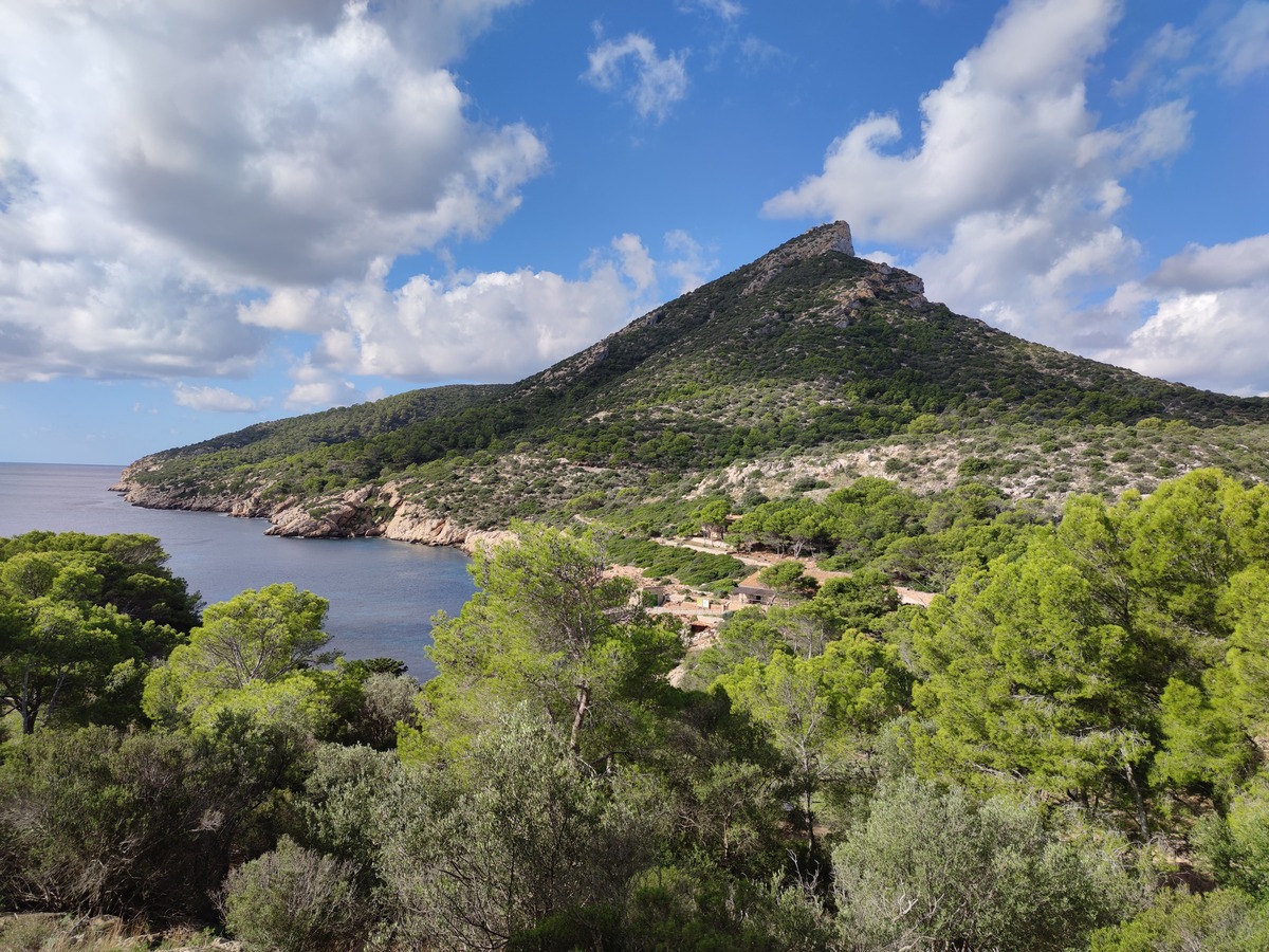 Paraje natural - Sa Dragonera: Descubre la isla mágica y protegida de Mallorca