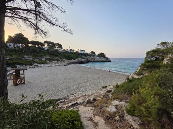 Playa - Cala Anguila