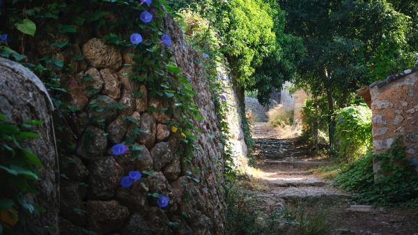 Articulo - Las 5 Mejores Rutas de Senderismo Fáciles en Mallorca